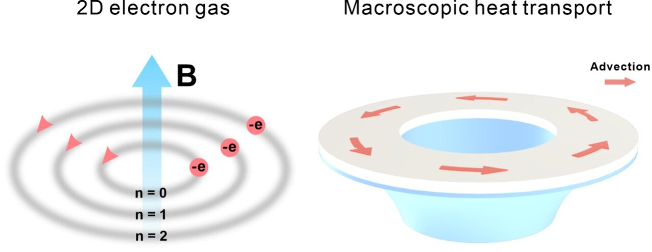 Energy loss triggers quantum thermal Hall-like effect at macroscopic scale