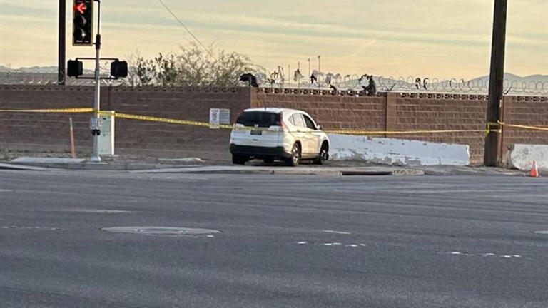 Carjacking suspect in custody after police chase in northeast Las Vegas
