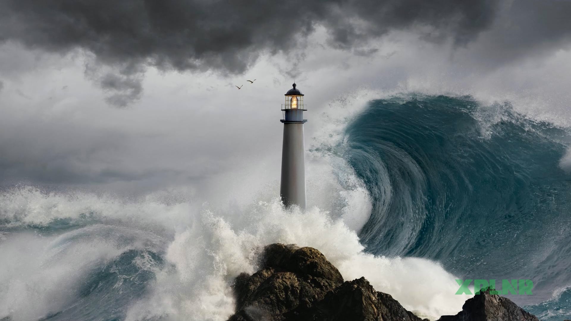 Understanding the causes behind tsunami formation