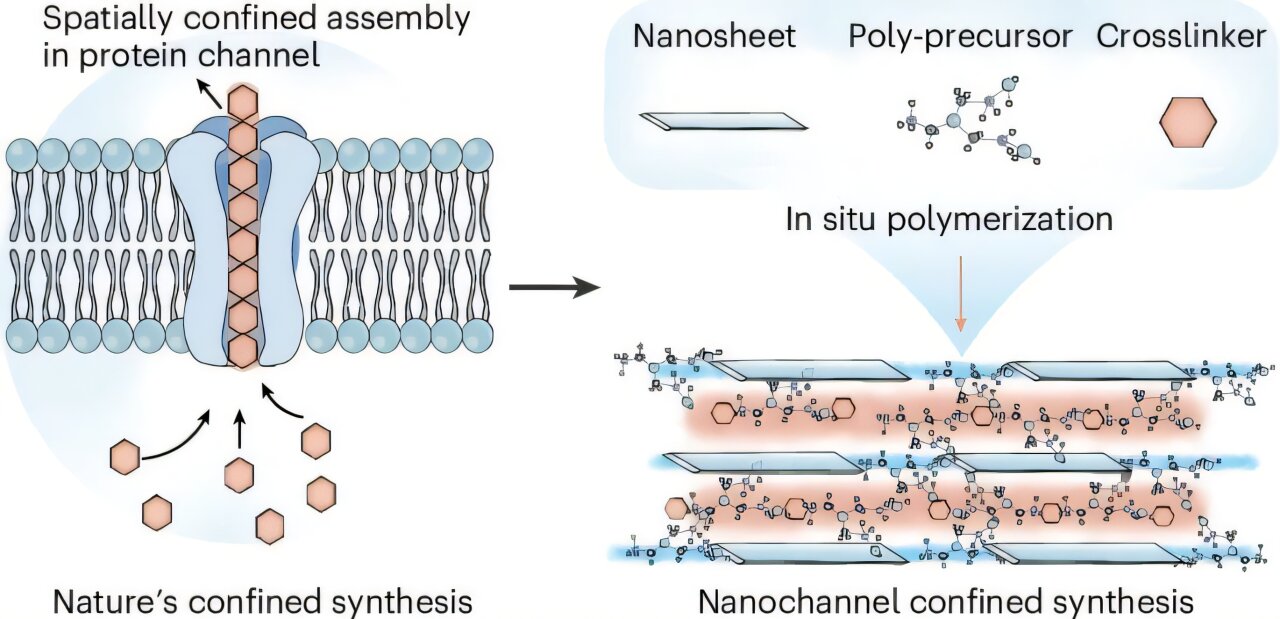 Nanochannel method makes ion membranes twice as strong for clean energy