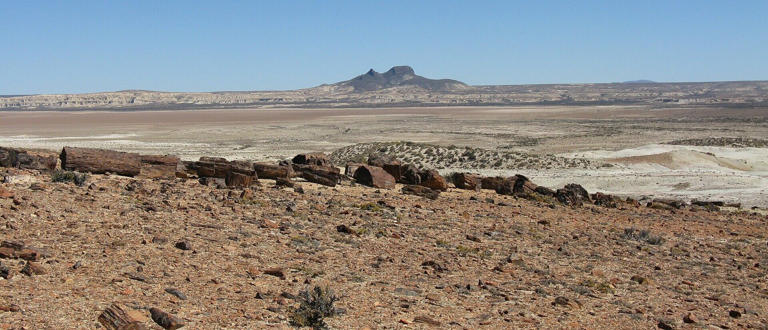 Un desierto es un paisaje bioclimático que puede ser cálido o helado y que se caracteriza por tener bajos índices de precipitación, un clima seco, temperaturas extremas y un suelo árido. Foto: Wikipedia.
