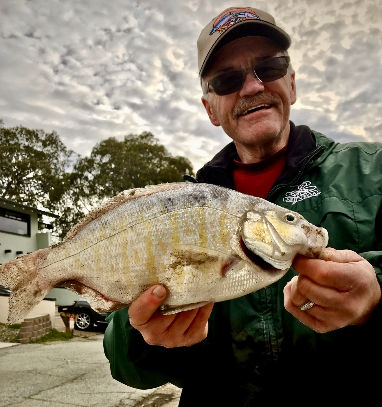 Sanddabs, petrale sole and mackerel are back on the bite | Fish Rap