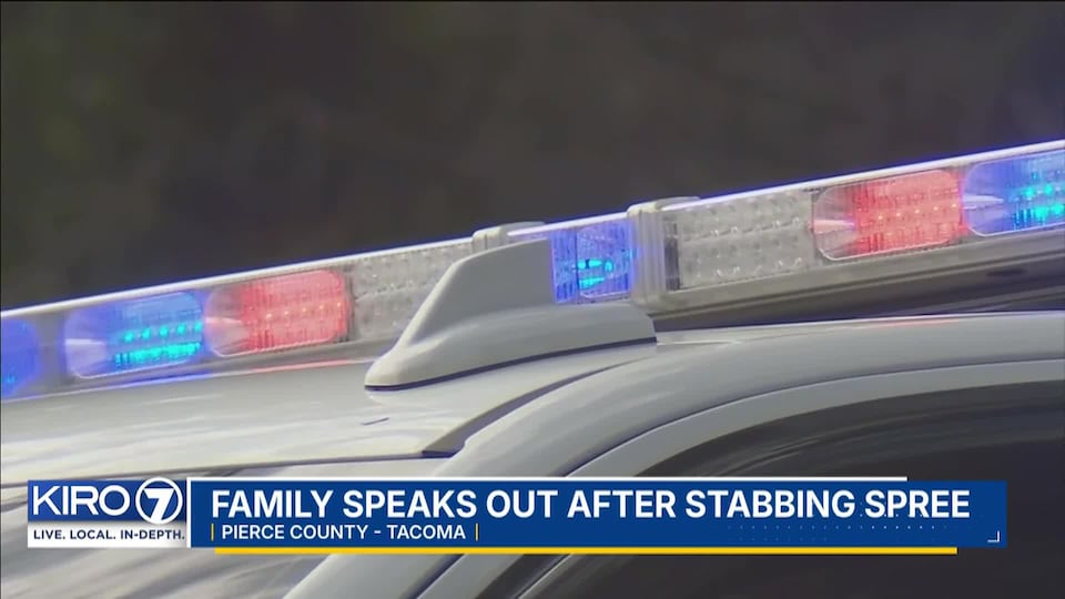 Video: Family speaks out after stabbing spree