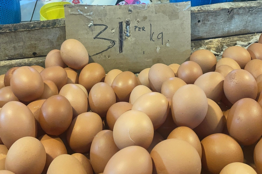 Peternak Lokal NTB Hanya Penuhi 30% Kebutuhan Telur dan Ayam Dapur MBG