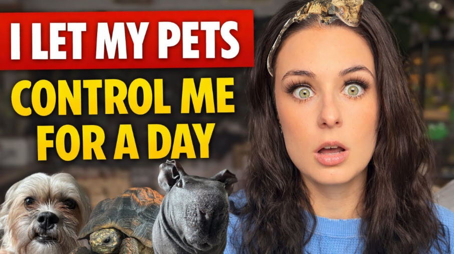 I let my pets control my entire day here’s what happened