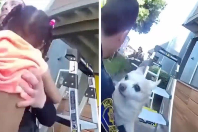 Officers save child and dog thrown from burning building