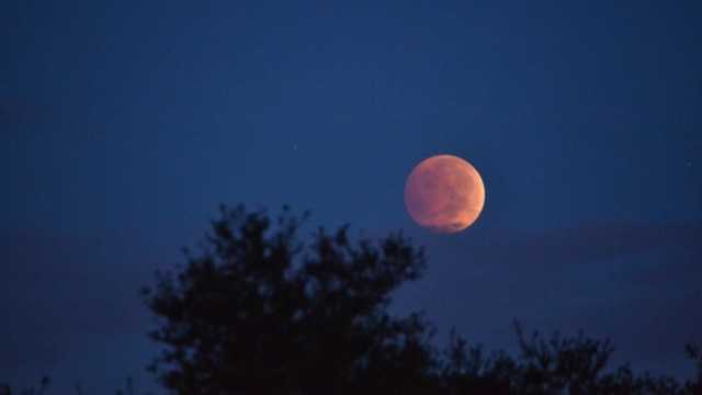 Photos: 2026 'blood moon' total lunar eclipse seen across Florida