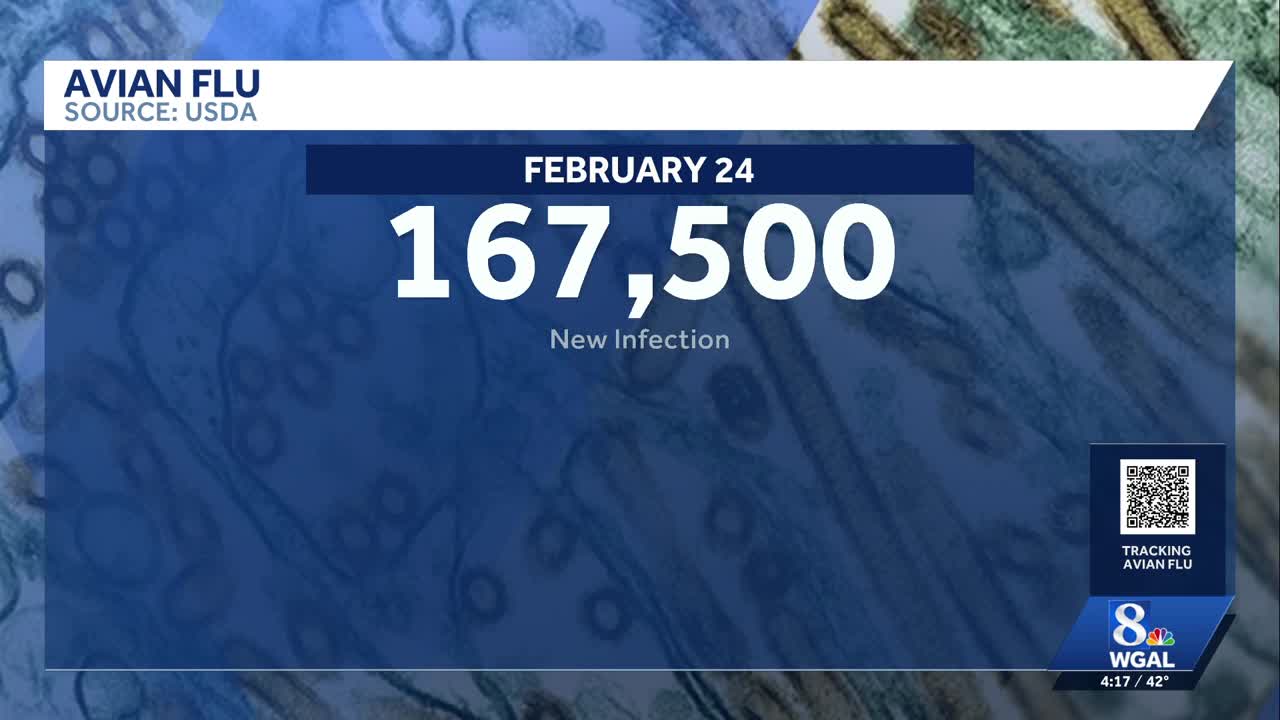 Avian flu infects another flock in Lancaster County