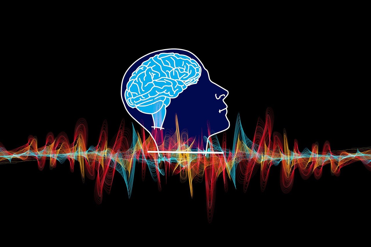 Research shows how lost memories can be reactivated