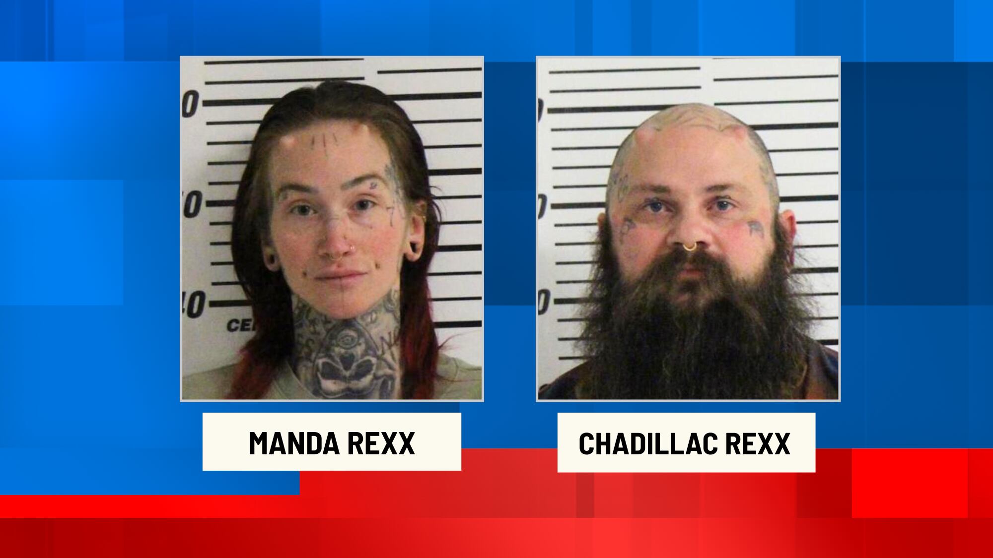 Scott County couple facing firearms charges after 38 guns found in home ...