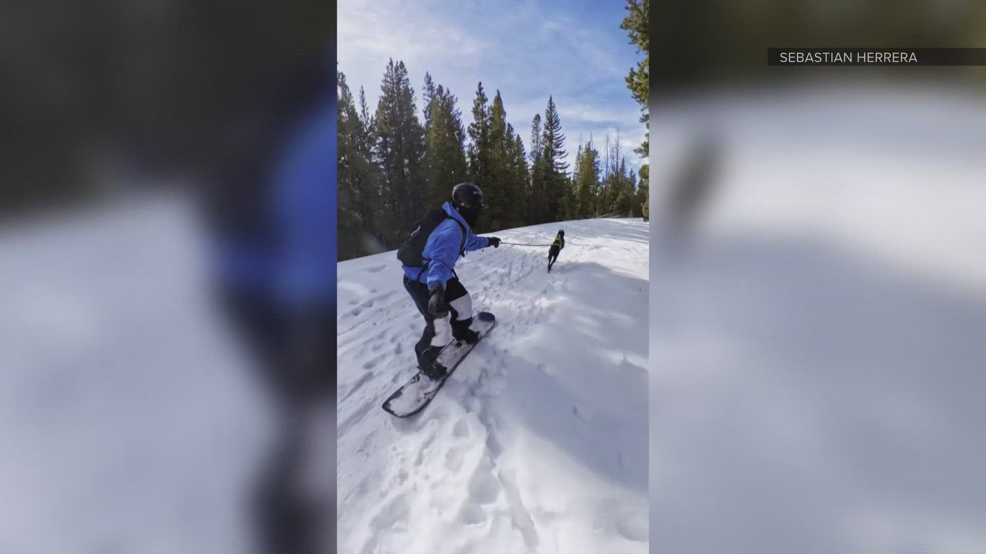 Snowboarder navigates a low snowpack season with his dog