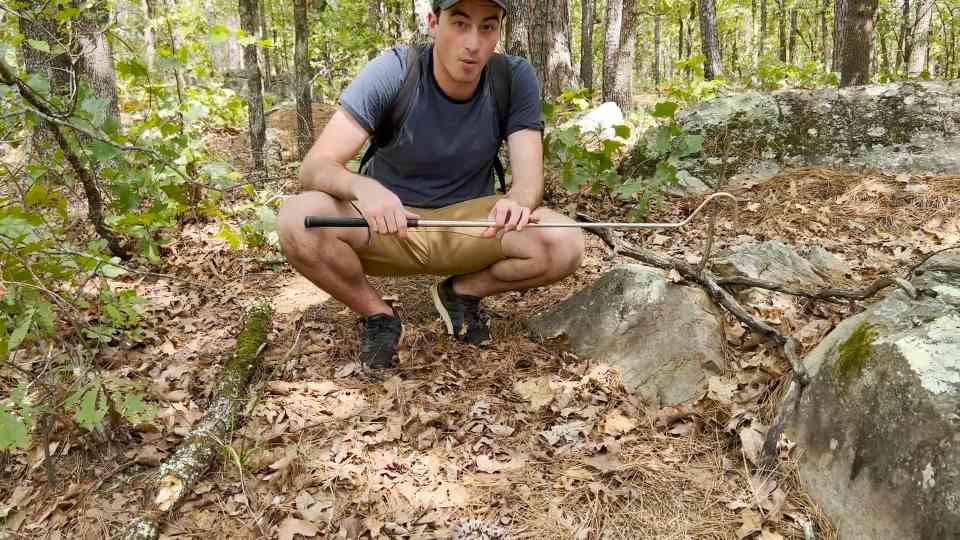 Watch what happens when a venomous rattlesnake feels threatened