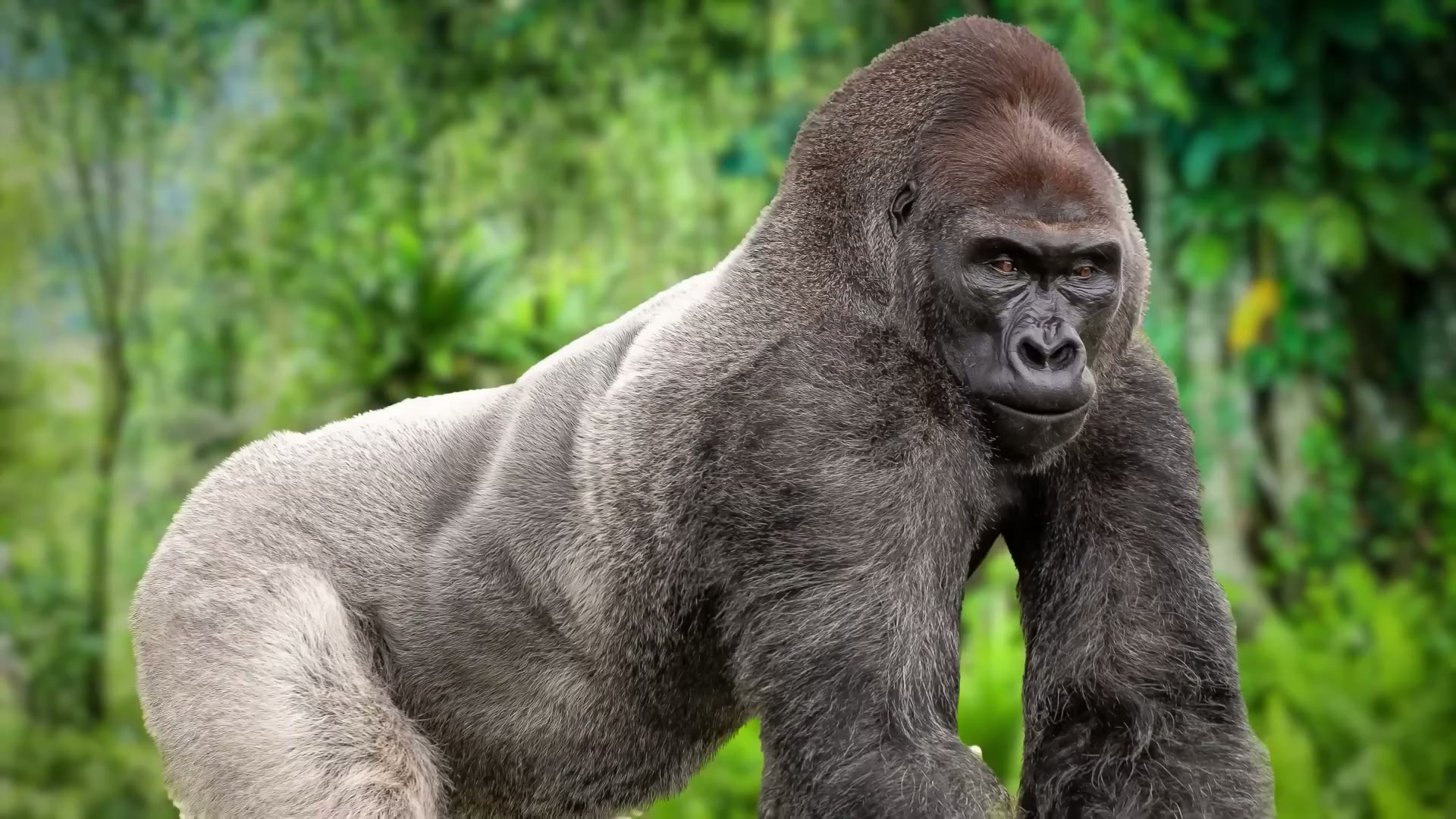 This cute Disney pet is a lab monster