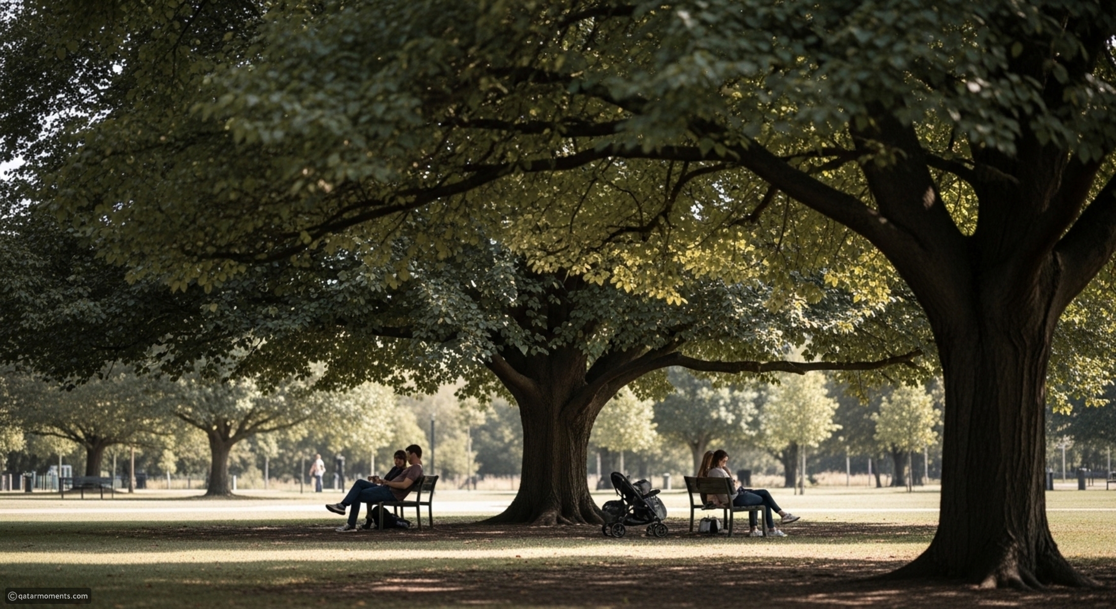 Why Being in the Nature and Surrounding Trees Can Change Everyday Well ...