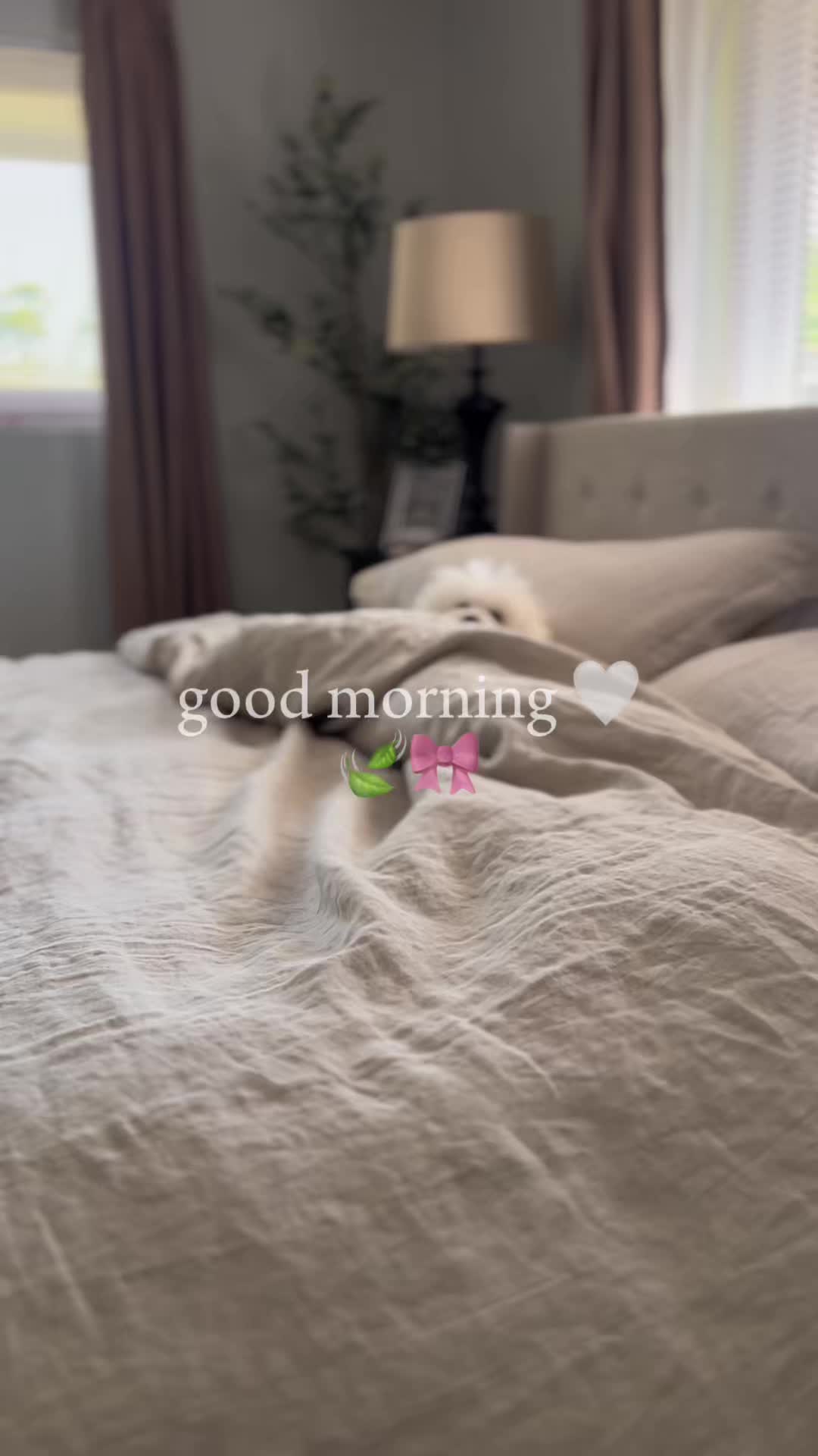 The aesthetic slow morning routine everyone is trying