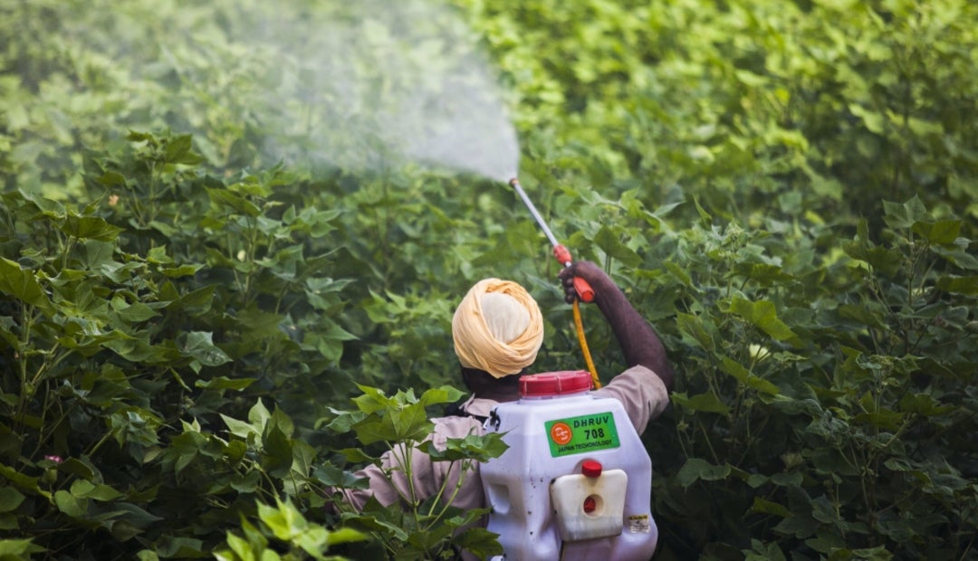 Crisis global de la urea activa alertas por el inminente alza en ...