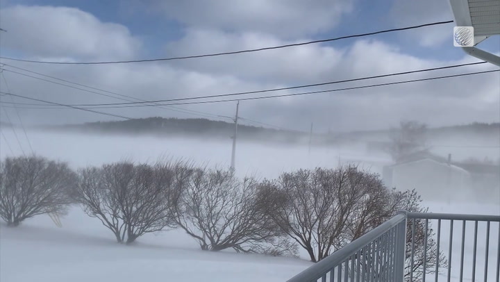 Powerful winds, low visibility in parts of coastal Newfoundland & Labrador