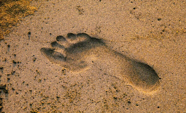 A couple of dog walkers discovered human footprints in the sand, but ...