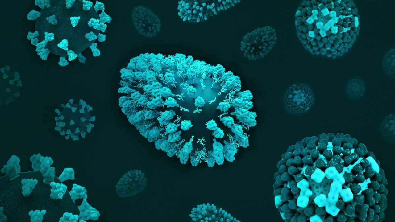 Terrifying new virus erases your immune system’s memory, experts warn