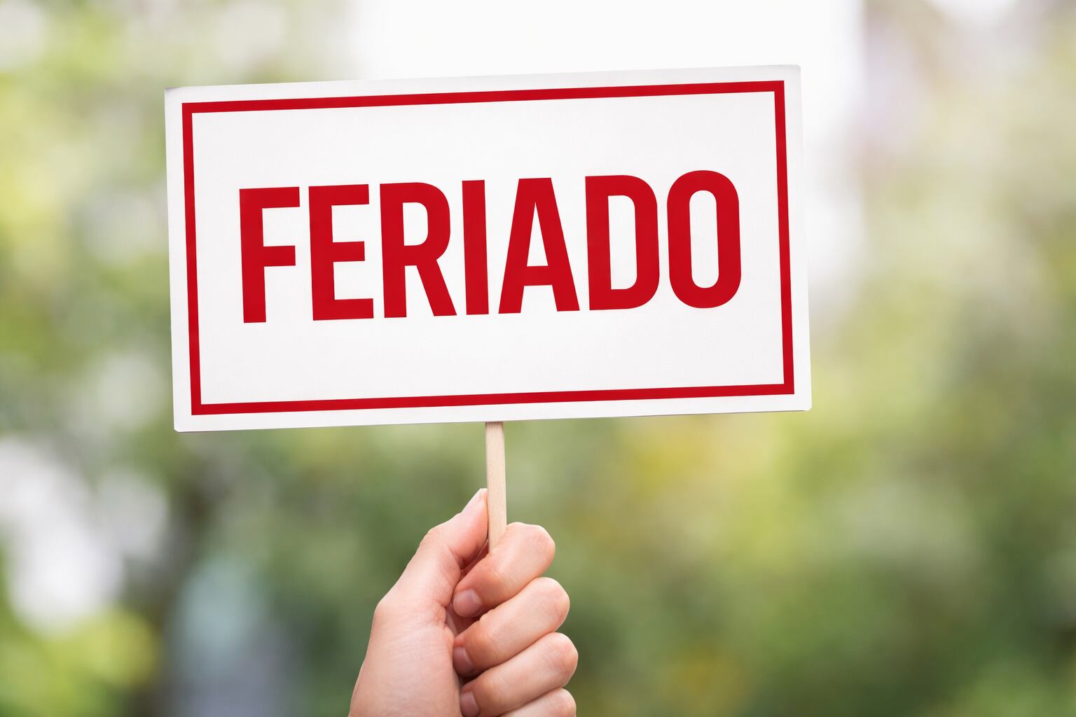 Confirmado: Gobierno decreta feriado para el 2 y 3 y todos los ...