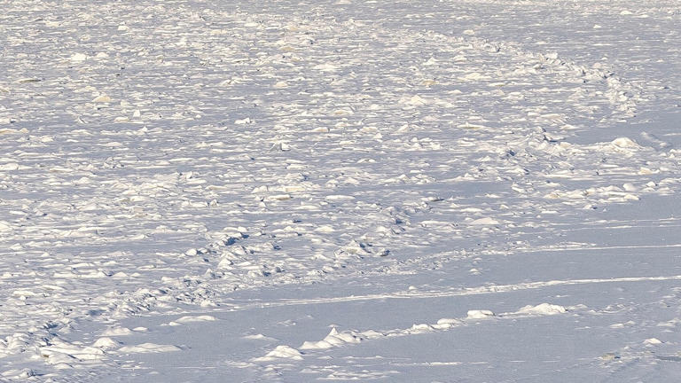 Laingsburg man dies after falling through ice while fishing