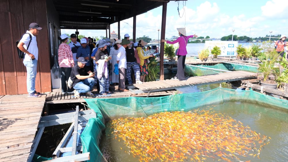 Du lịch Cồn Sơn phát triển nóng, người dân lo nguy cơ tội phạm trà trộn
