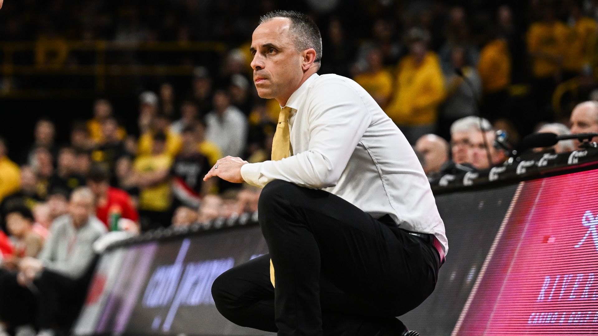 Michigan vs Iowa: Odds, cover spread & total insights