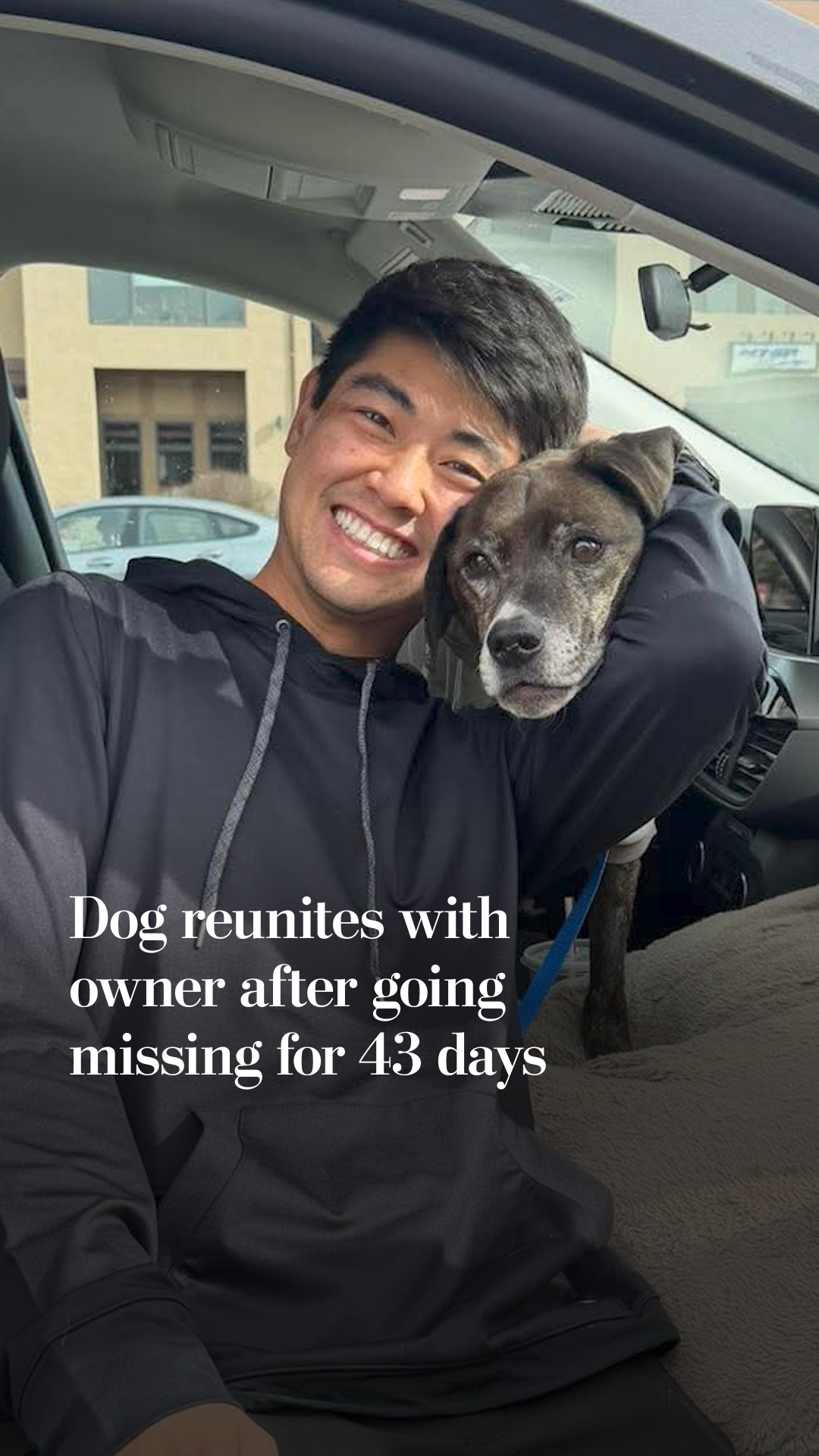 Dog reunited with owner after going missing for 43 days