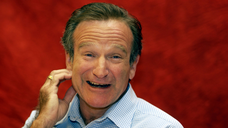 Robin Williams had a rare computer monitor that even modern enthusiasts ...
