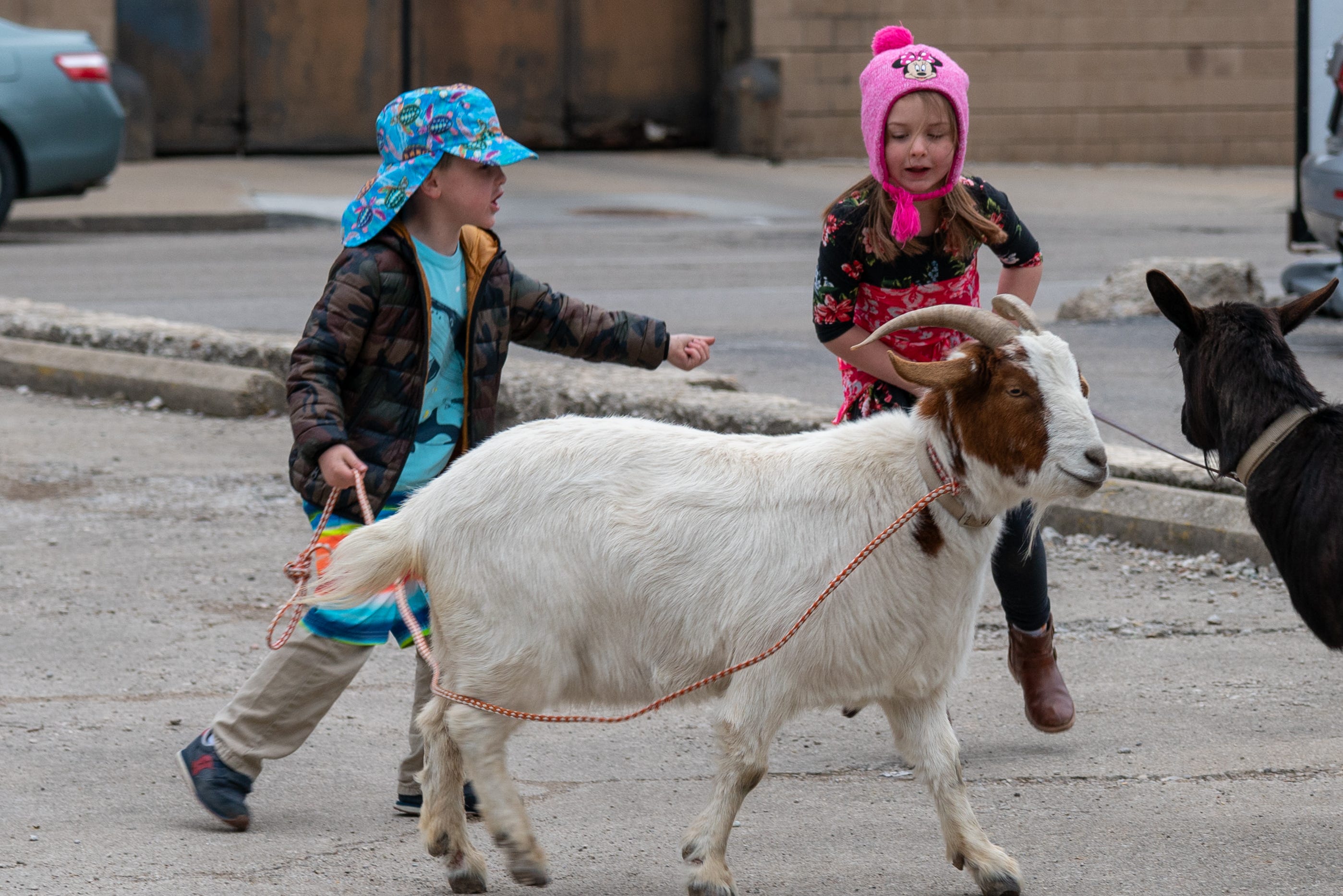 Bockfest is here! Everything to know for the 2026 festivities
