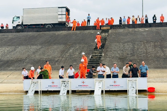 Thả hơn 800.000 cá giống xuống hồ thủy điện Sông Tranh 2, Đà Nẵng