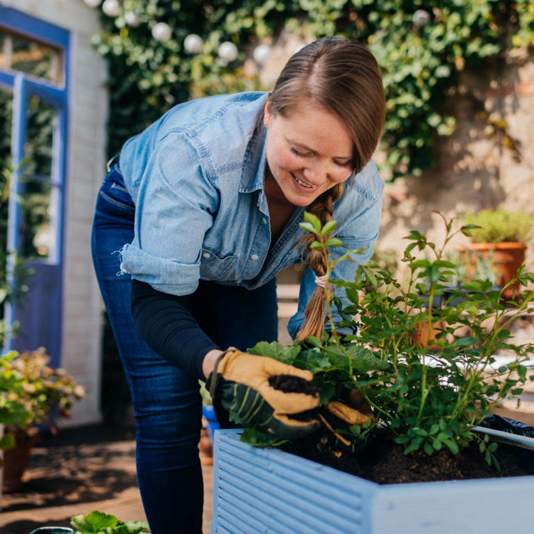 No backyard, no problem. Raised garden beds make gardening easy no ...