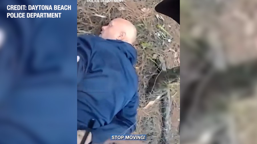 'Worst luck': Florida man arrested after breaking into woman's car ...