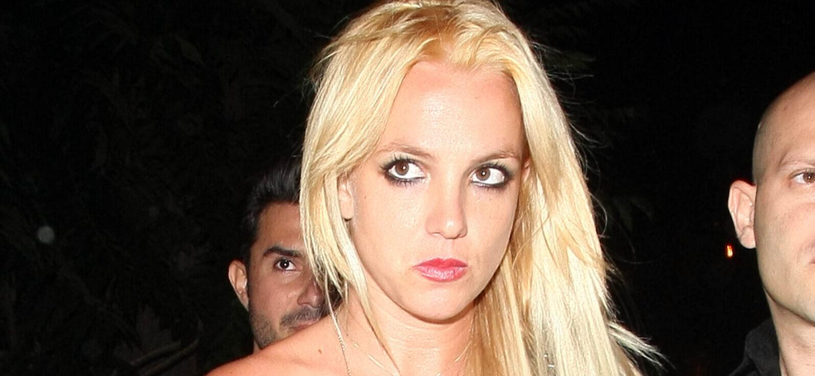 Troubling 911 audio sheds light on Britney Spears