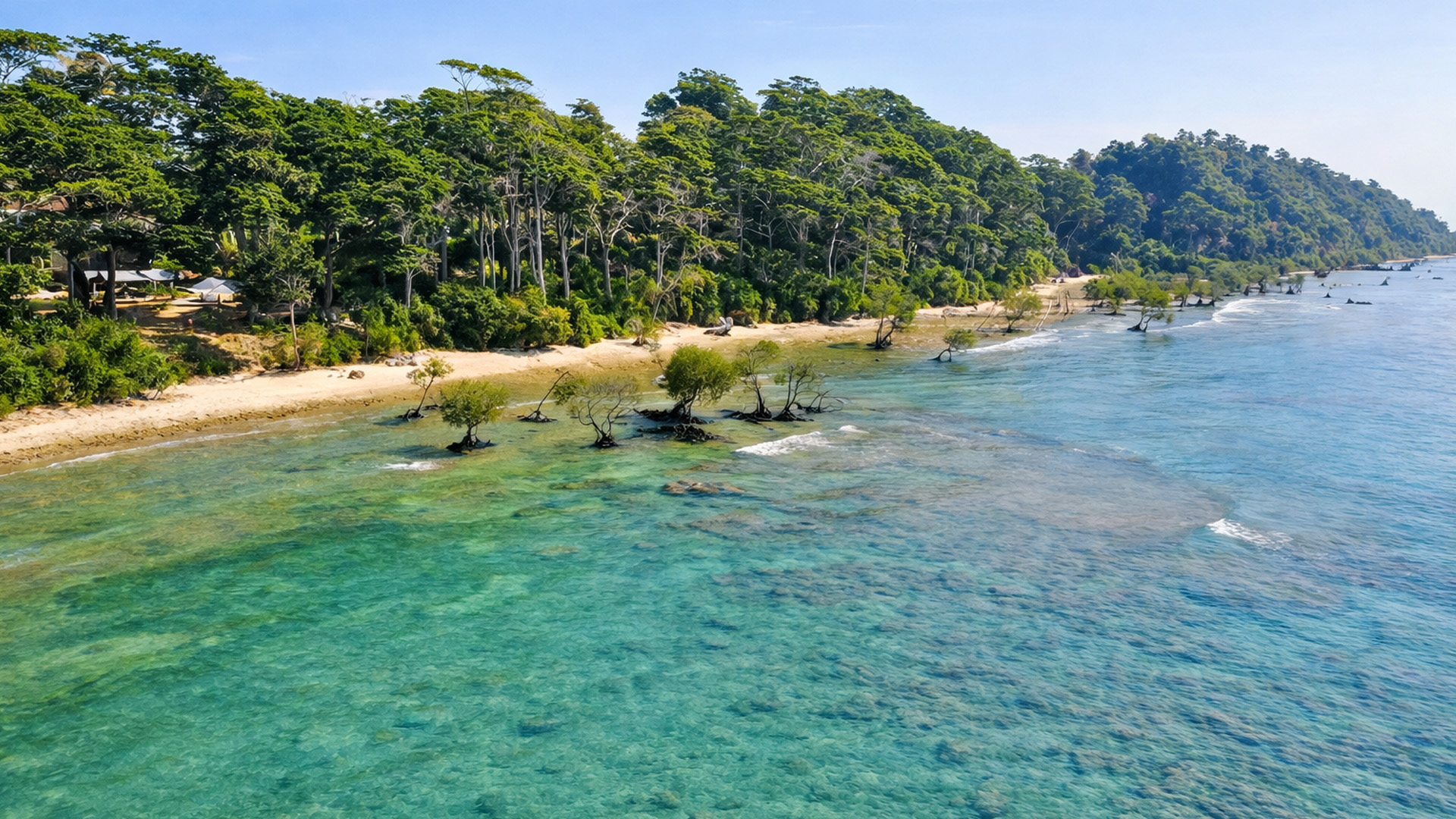 Lush forest and turquoise sea in the Andaman Islands