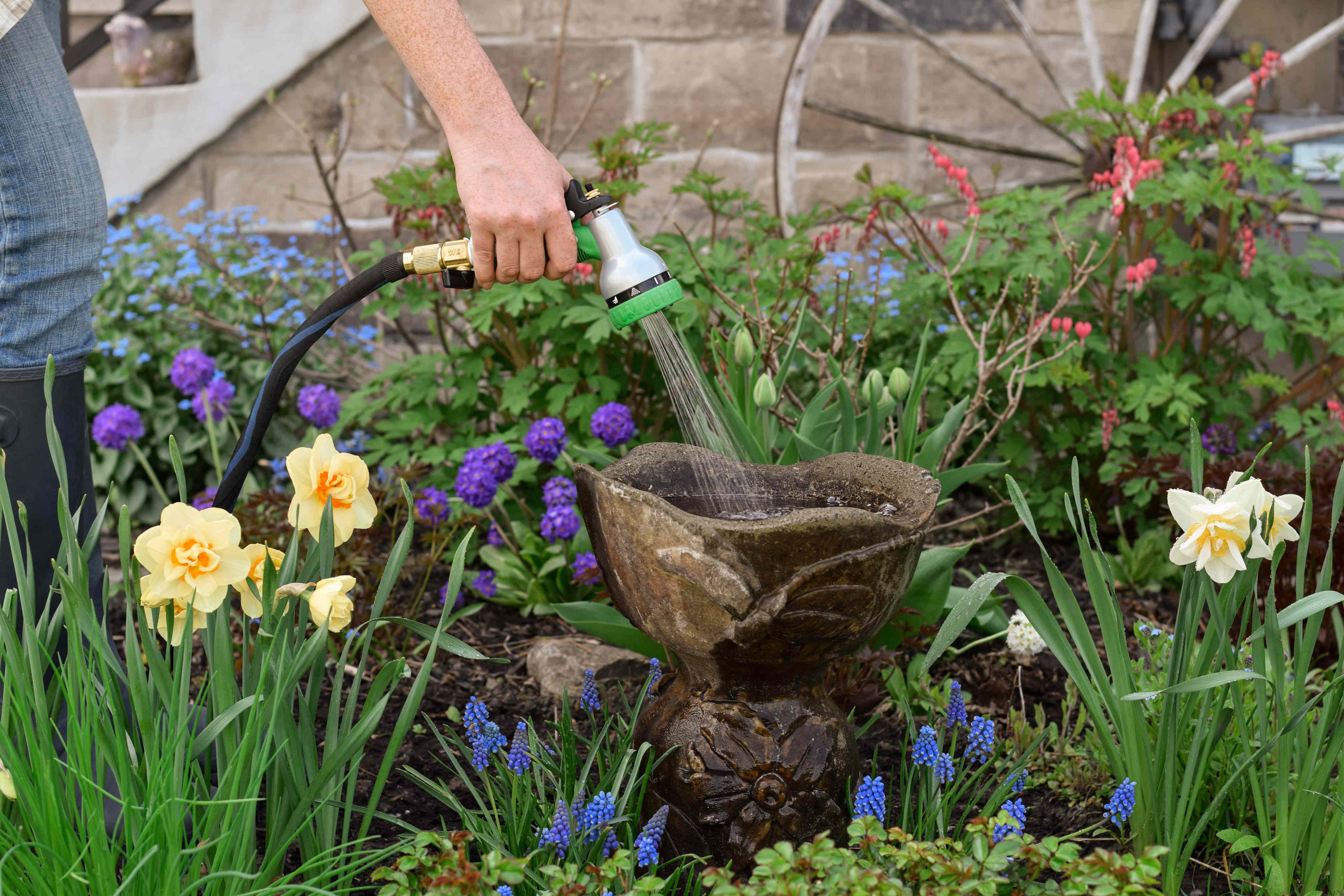 How to clean bird feeders and birdbaths to stop the spread of disease