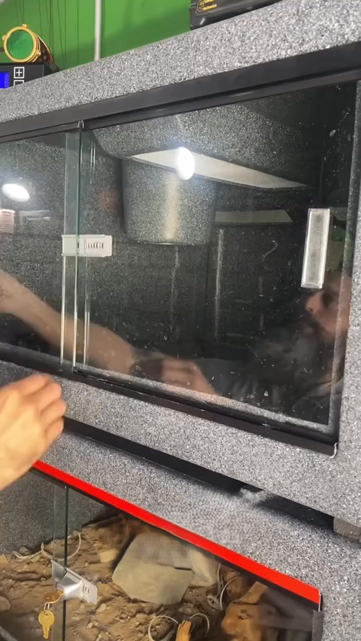 New enclosure set up!