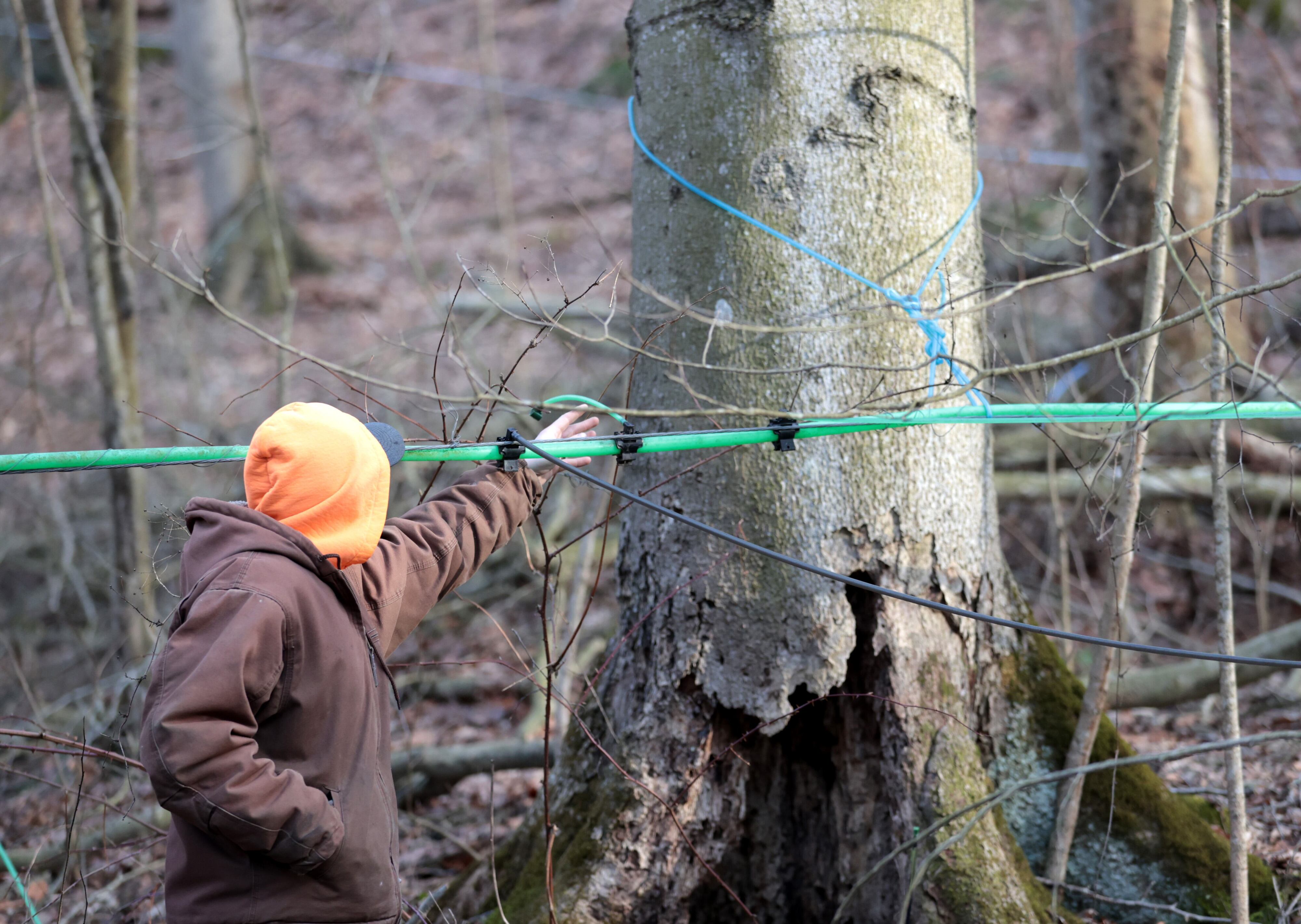 Ohio couple turns maple syrup into family labor of love (photos)