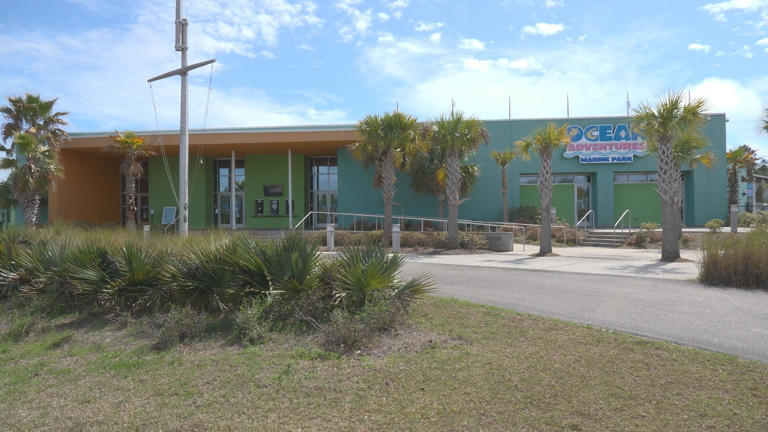 Mississippi Gulf Coast tourism season underway ahead of spring
