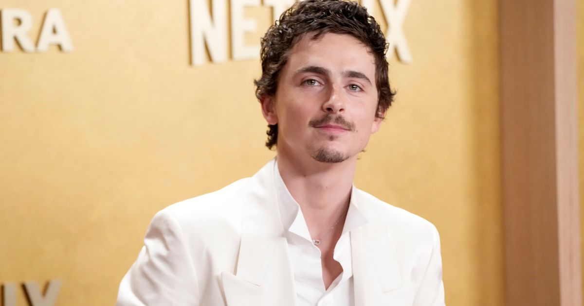 Ballet dancers and opera singers are mad at Timothée Chalamet
