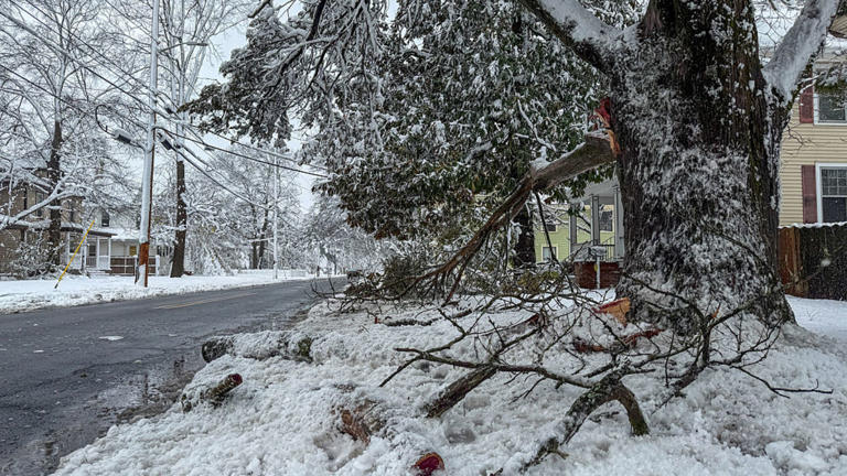 High wind warning announced for multiple areas as 65 mph gusts, power ...