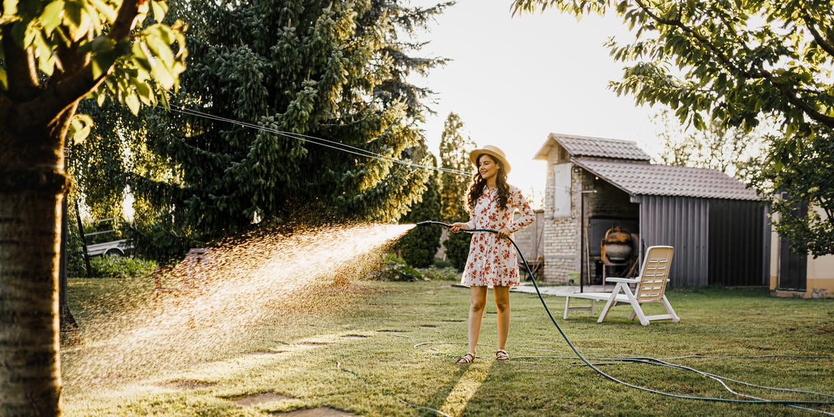 How to get your backyard ready for spring, according to an expert