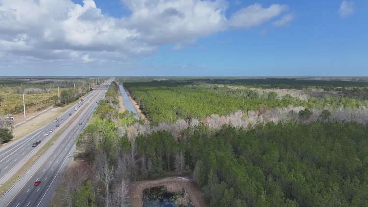 'Right thing to do': Florida lawmakers hit pause on controversial 'Blue ...