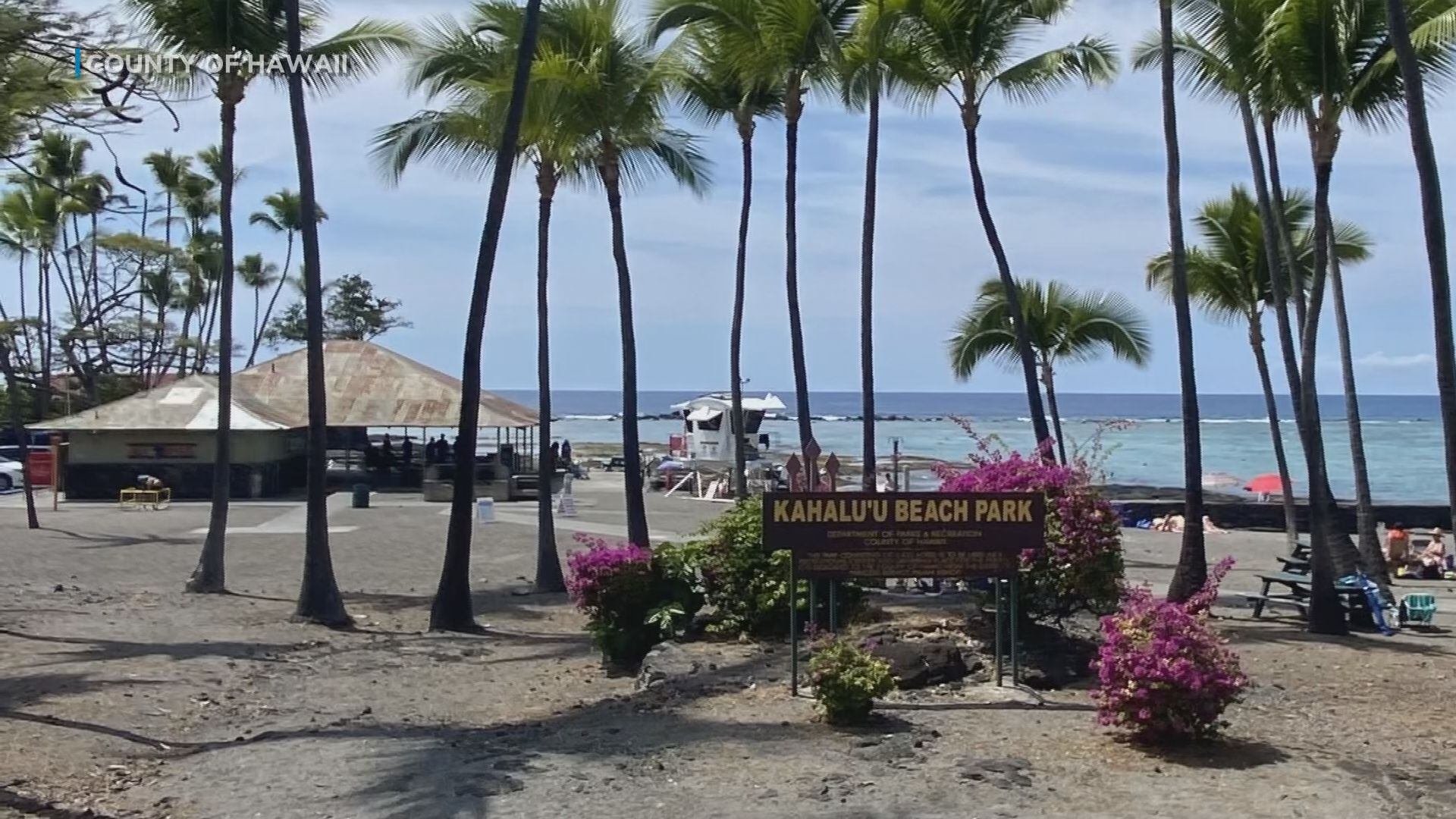 Hawaii Island beach temporarily closing in May for coral spawning
