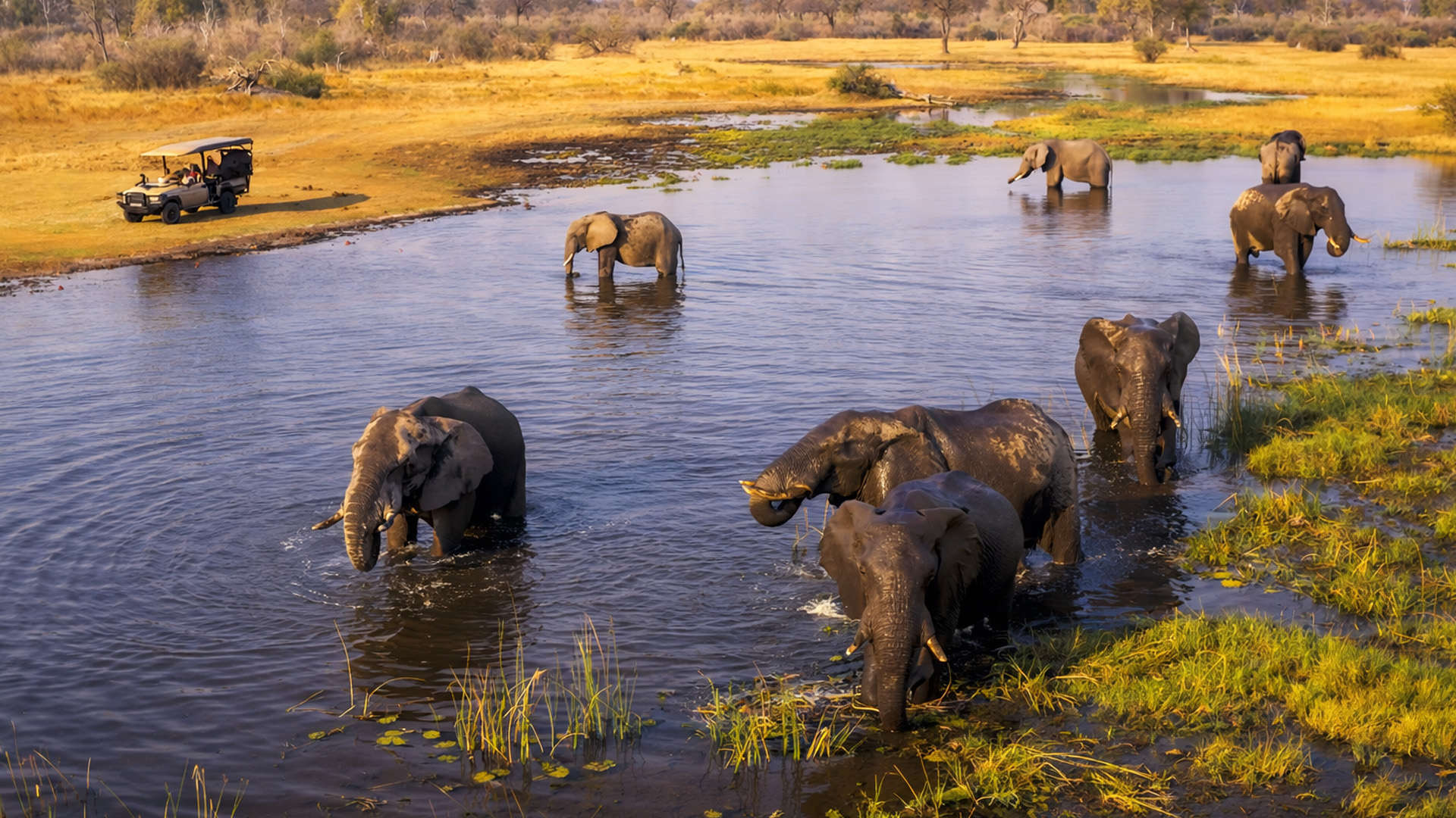 Where elephants gather when the heat rises