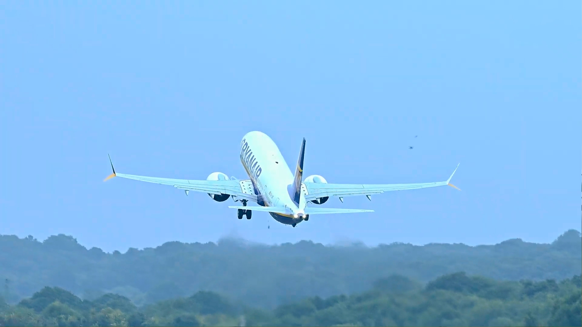 Bird strike during jet takeoff caught on camera