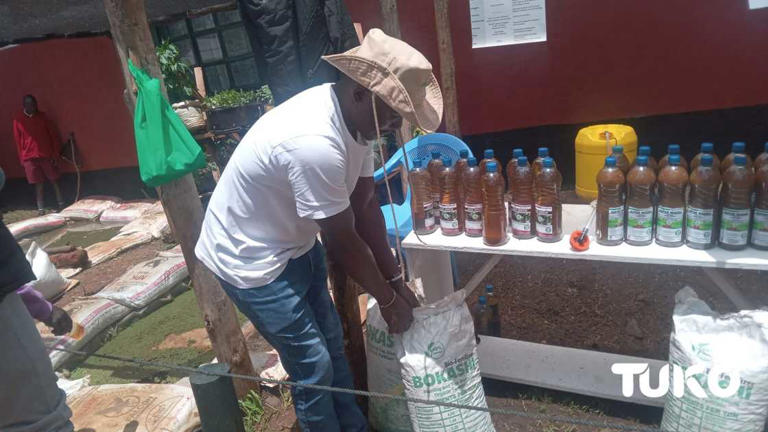 It takes 14 days to produce Bokasi organic fertiliser for a farmer at home. Photo: Edmond Kipngeno. Source: Original