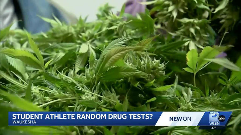 Waukesha school district considers random drug tests for student athletes