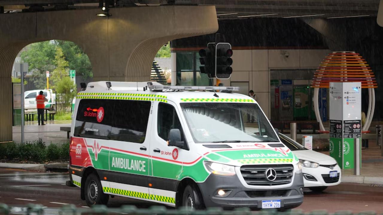 Girl seriously injured after dog mauling