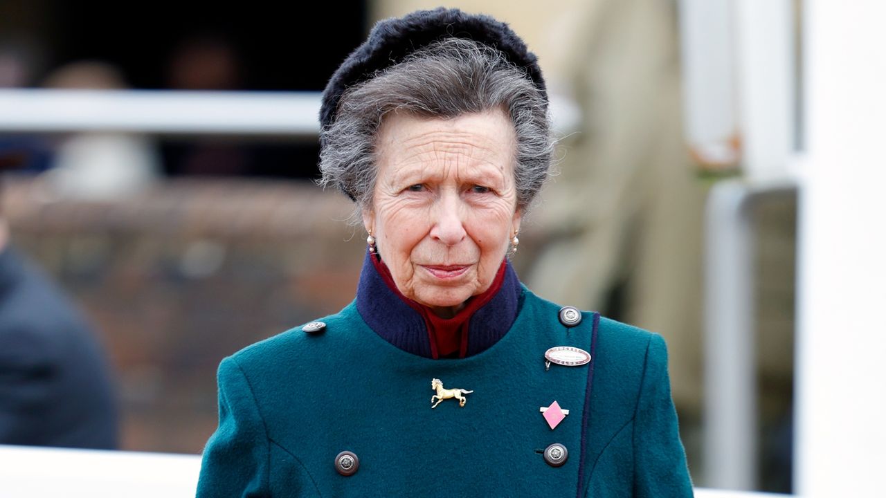 Princess Anne's outstanding skills recognised as she's granted new ...